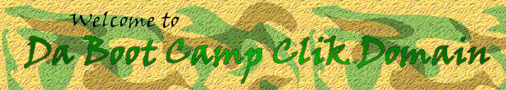 BCC Domain Logo